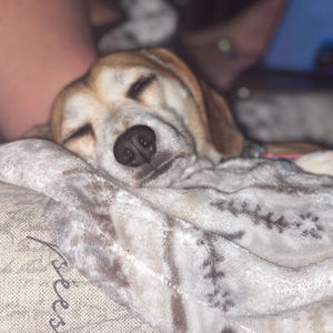 Meet your Posher, Maddie